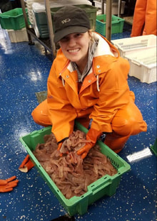 Person in full raingear showing off a box full of pyrosomes
