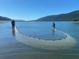 Two people pulling a beach seine in the nearshore of Gastineau channel