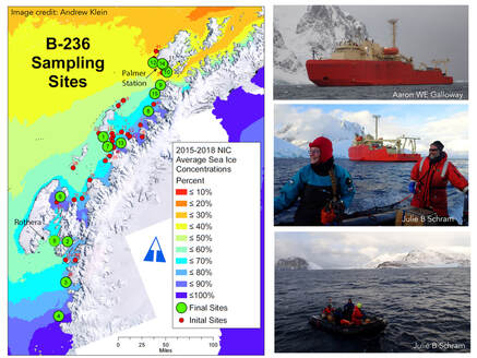 Multi-panel image that includes a map of the western Antarctic Peninsula with color coding to indicate sea ice presence, image of an ice breaker, photo of a diver and boat driver in the foreground and ice breaker in the background, zodiac with dive team leaving the ice breaker